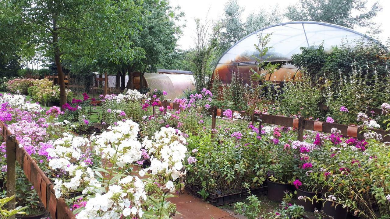 Pipowagen Overnachting Het Houten Huis Zaltbommel Εξωτερικό φωτογραφία