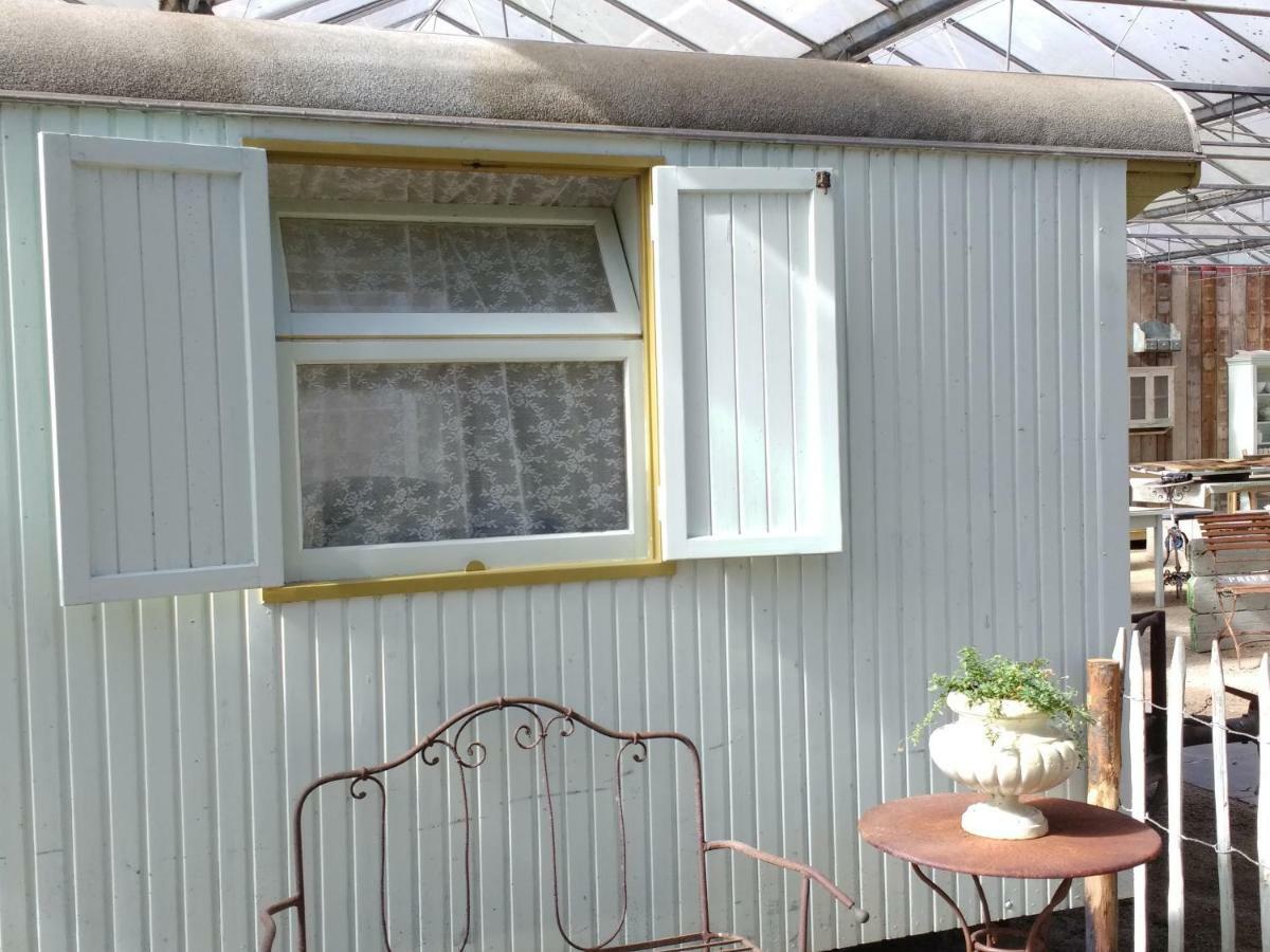 Pipowagen Overnachting Het Houten Huis Zaltbommel Εξωτερικό φωτογραφία