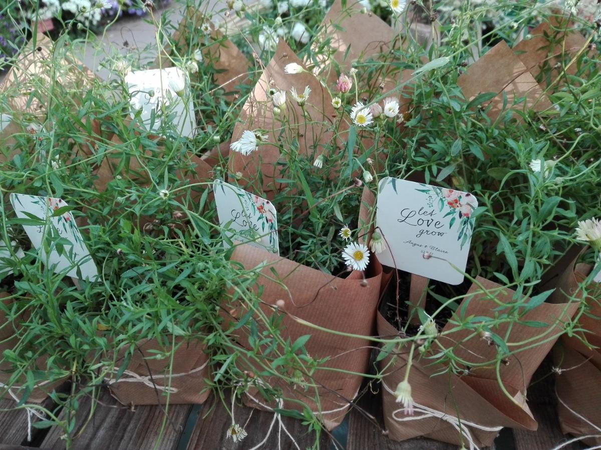 Pipowagen Overnachting Het Houten Huis Zaltbommel Εξωτερικό φωτογραφία