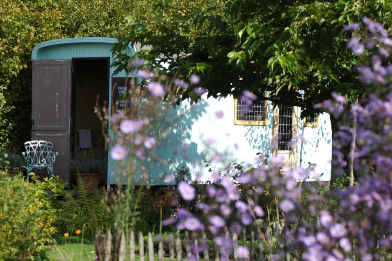 Pipowagen Overnachting Het Houten Huis Zaltbommel Εξωτερικό φωτογραφία