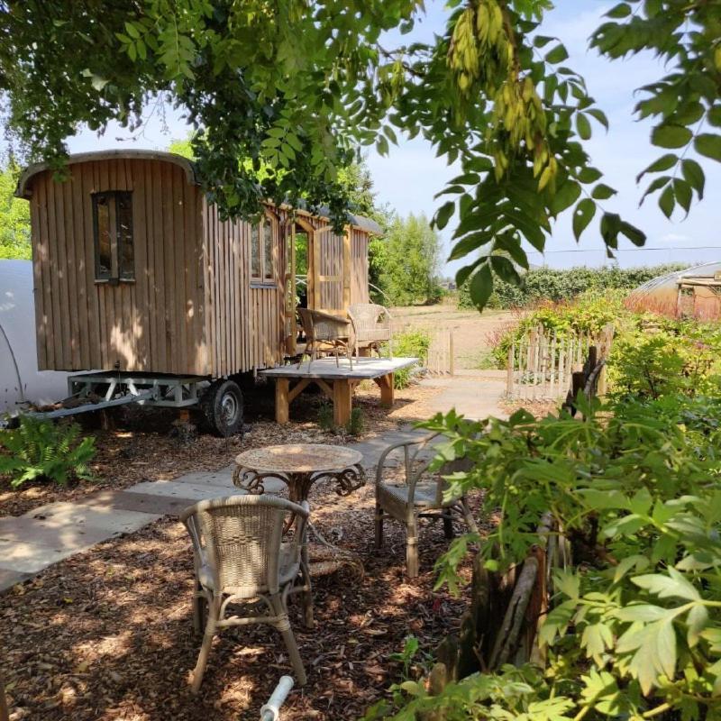 Pipowagen Overnachting Het Houten Huis Zaltbommel Εξωτερικό φωτογραφία